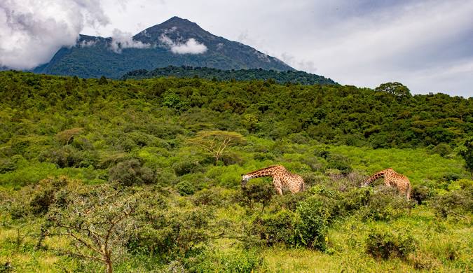 Arusha National Park