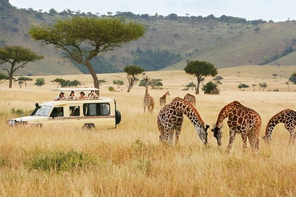 Golden Plains Luxury Safari