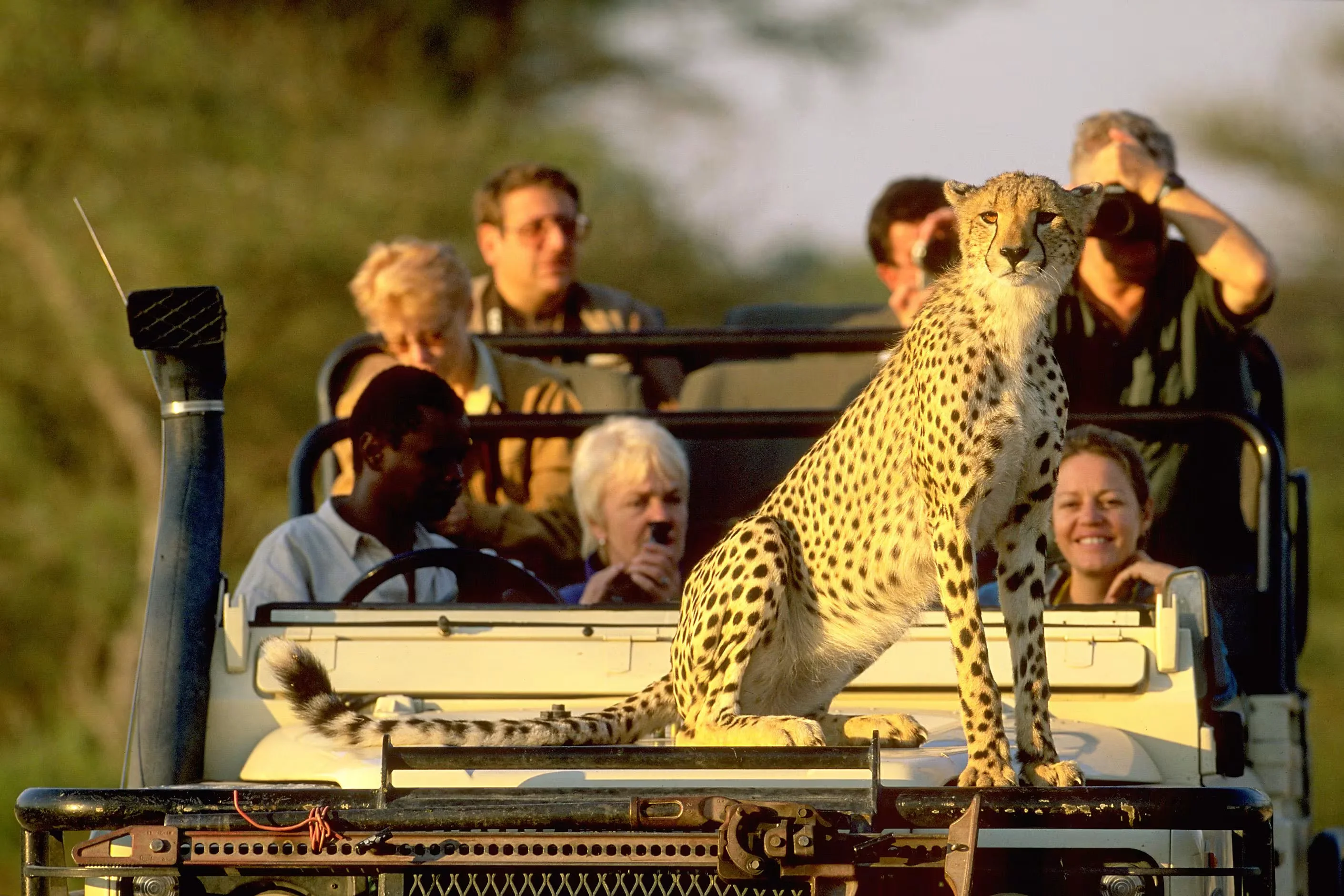 Grand Tanzania Expedition
