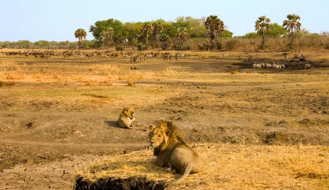 Katavi National Park