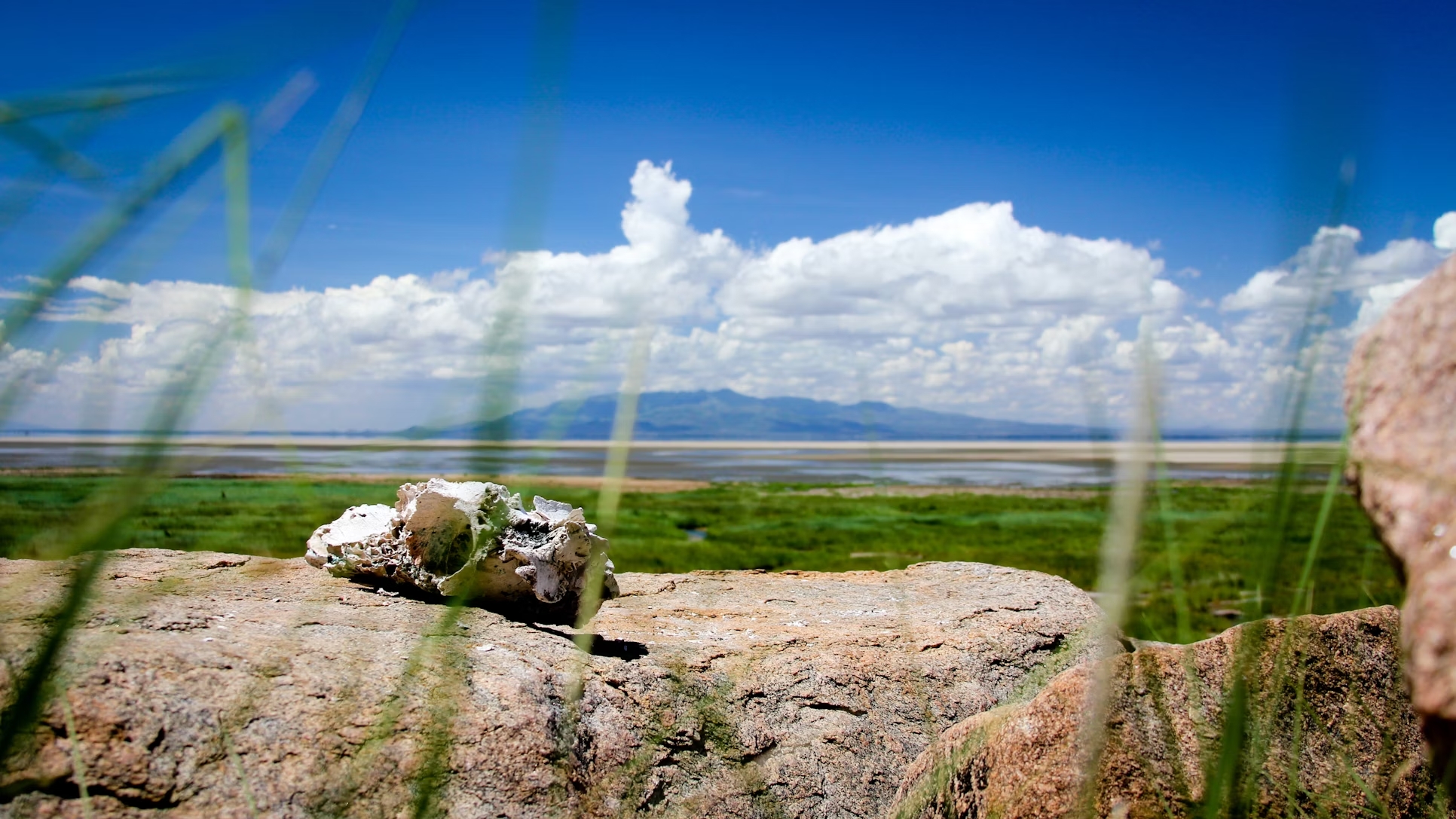 Lake Manyara National Park