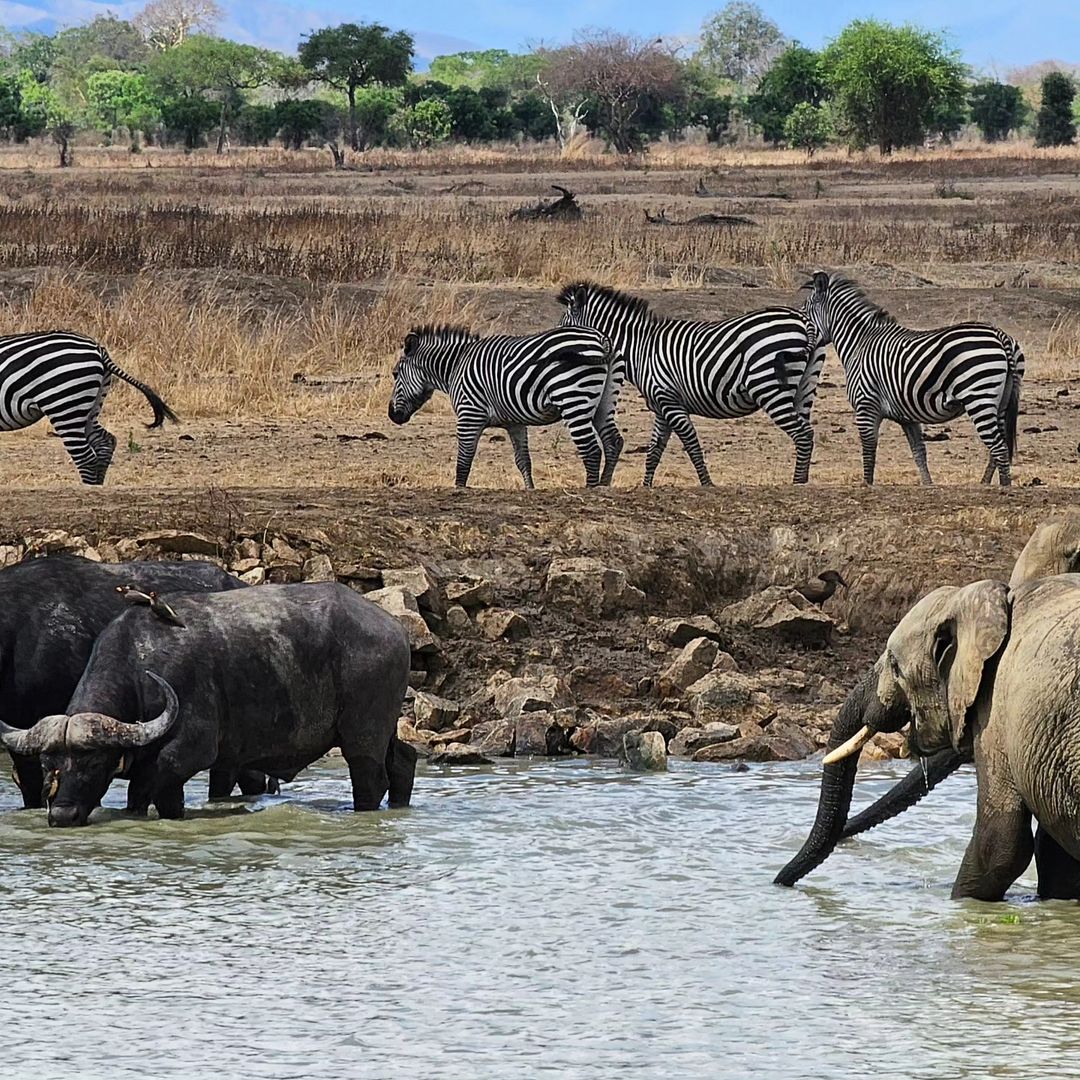 Selous Game Reserve